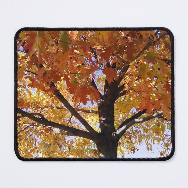 Item preview, Autumn tree in the park designed and sold by mariya-ivanova.