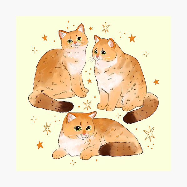 Vista previa del artículo con la obra «Paquete de gatos británicos de pelo corto dorados», diseñado y vendido por YaraCuteArt.