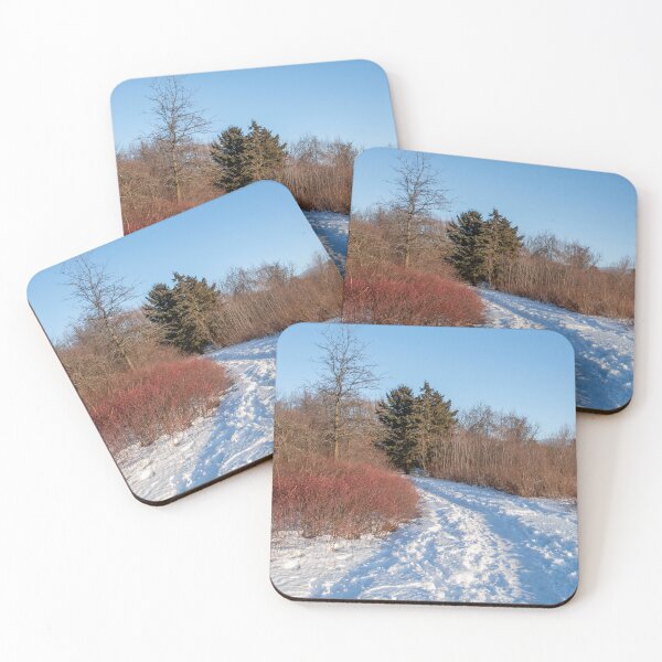 Item preview, Snowy Path Into a Forest designed and sold by jrtwynam.