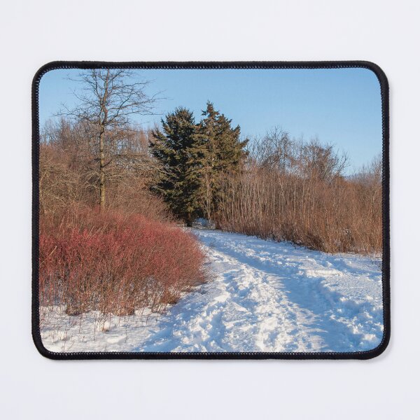 Item preview, Snowy Path Into a Forest designed and sold by jrtwynam.