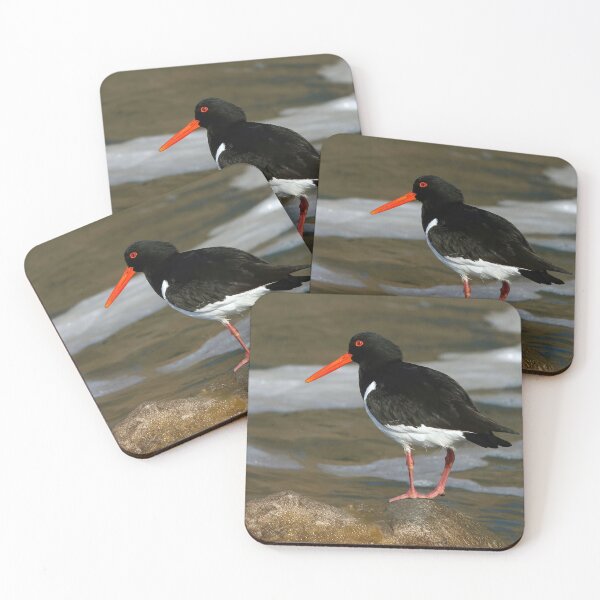 Item preview, Oystercatcher on a Rock designed and sold by Tom McPherson Photography.