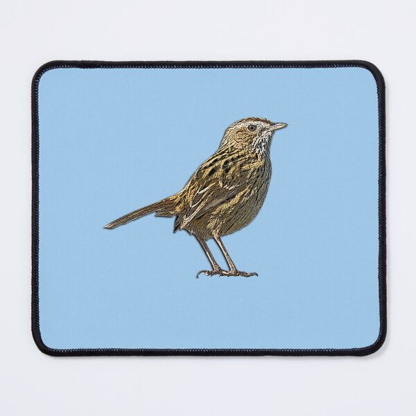 Item preview, Striated Fieldwren Color Design  designed and sold by designsasstultd.