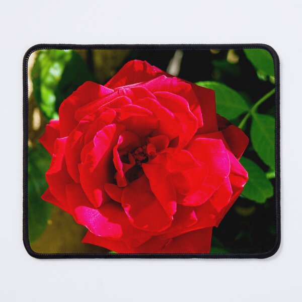 Item preview, A red rose designed and sold by Martin Fenton.