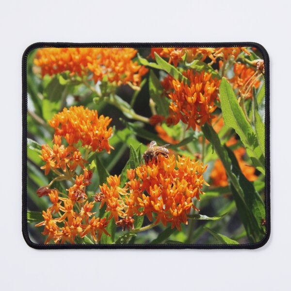 Item preview, Pollinator designed and sold by Fizlogo.