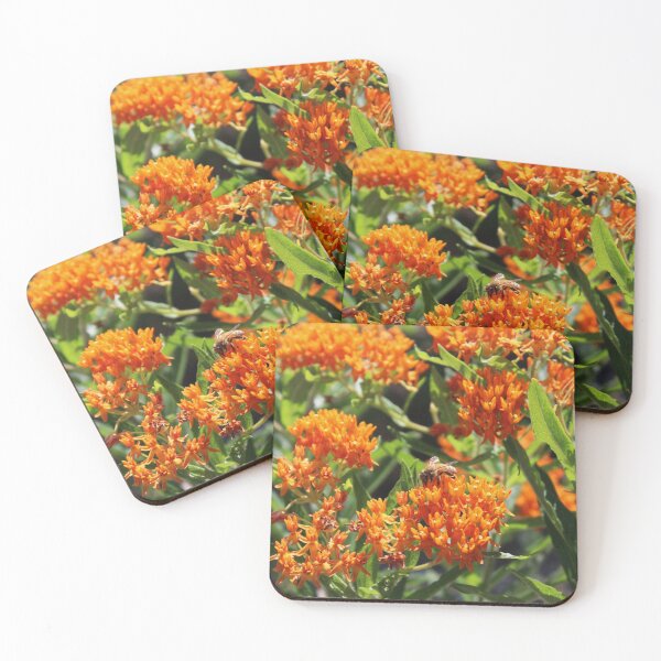 Item preview, Pollinator designed and sold by Fizlogo.