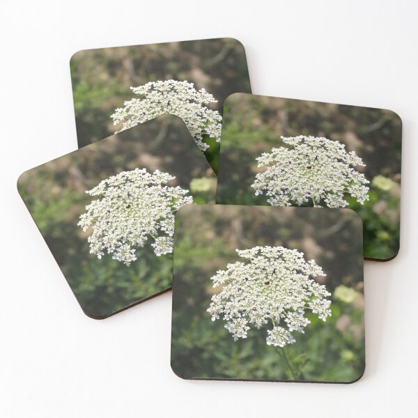 Item preview, Queen Ann's Lace designed and sold by Fizlogo.