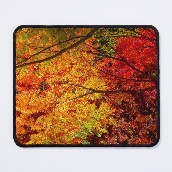 Item preview, Autumnal vibes designed and sold by dawnsm.