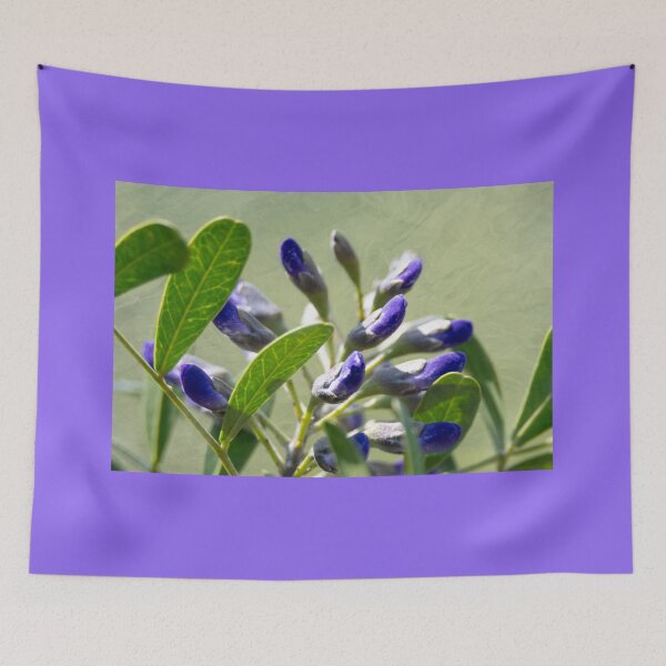 Item preview, Texas Mountain Laurel Buds designed and sold by Debra Martz.