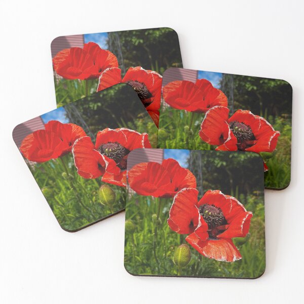 Item preview, Sun Hats designed and sold by Steve Walser.