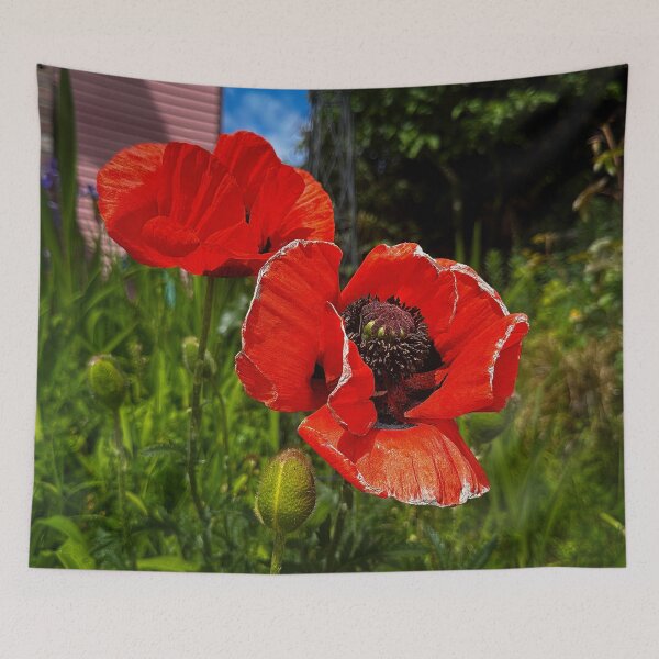 Item preview, Sun Hats designed and sold by Steve Walser.