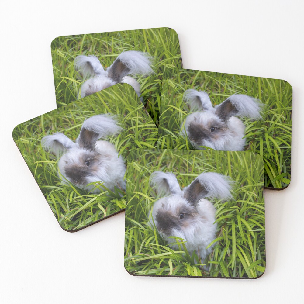 Item preview, Coasters (Set of 4) designed and sold by Fizlogo.