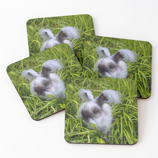 Item preview, English Angorra Rabbit designed and sold by Fizlogo.