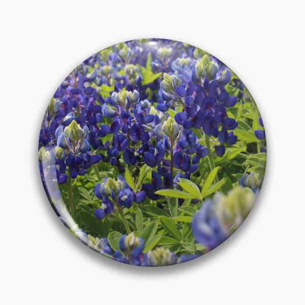 Item preview, Bluebonnets designed and sold by Fizlogo.