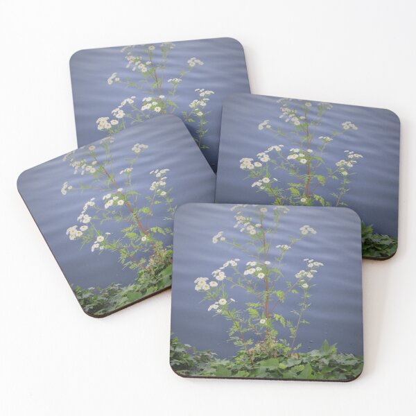 Item preview, Bush by waters edge designed and sold by Sandra Willis.