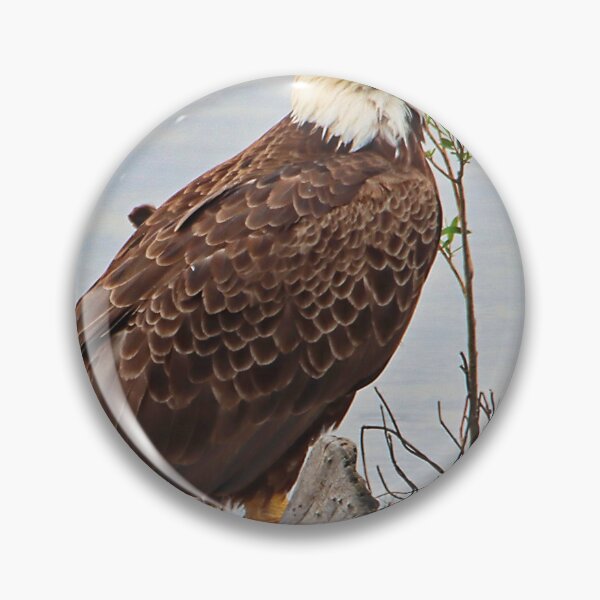 Item preview, Bald Eagle designed and sold by John  Cone.