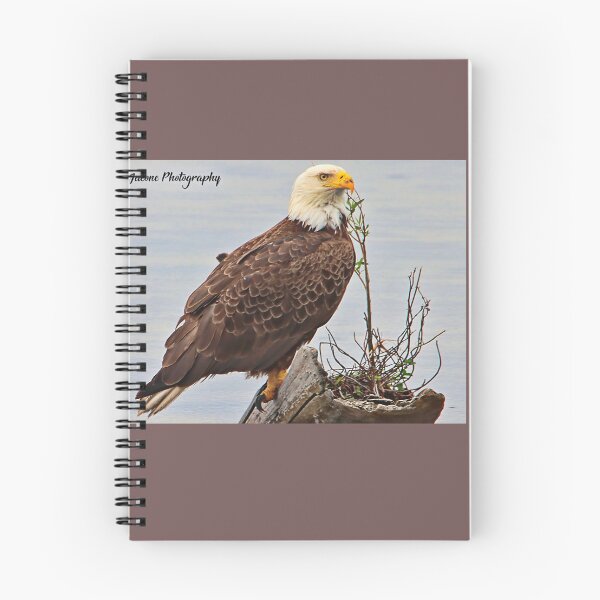 Item preview, Bald Eagle designed and sold by John  Cone.