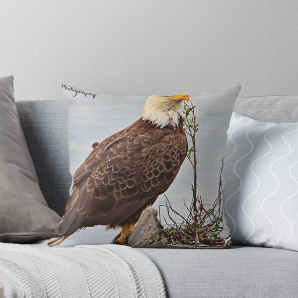 Item preview, Bald Eagle designed and sold by John  Cone.