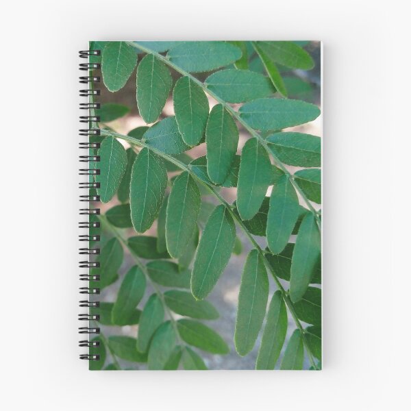 Item preview, Honey locust tree close up 3 original artwork designed and sold by paragonDesign28.