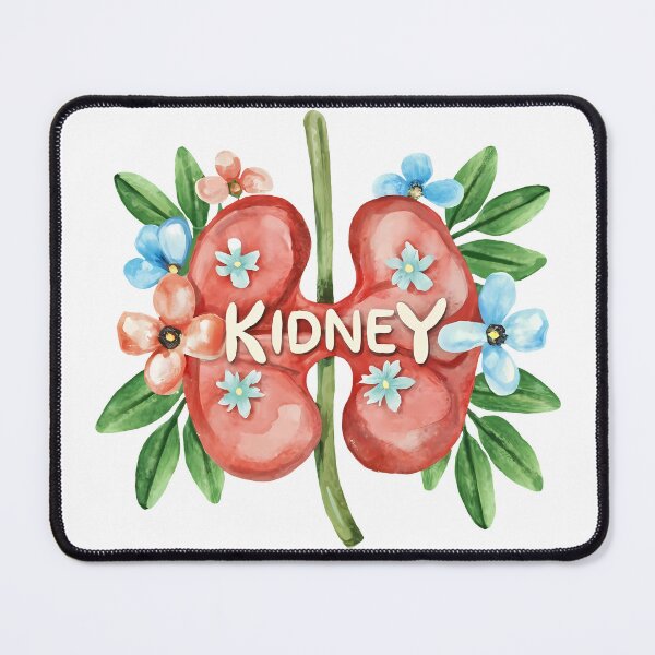 Item preview, Anatomy in Bloom: Floral Kidney Cutout Art designed and sold by EmeraldeaArt.