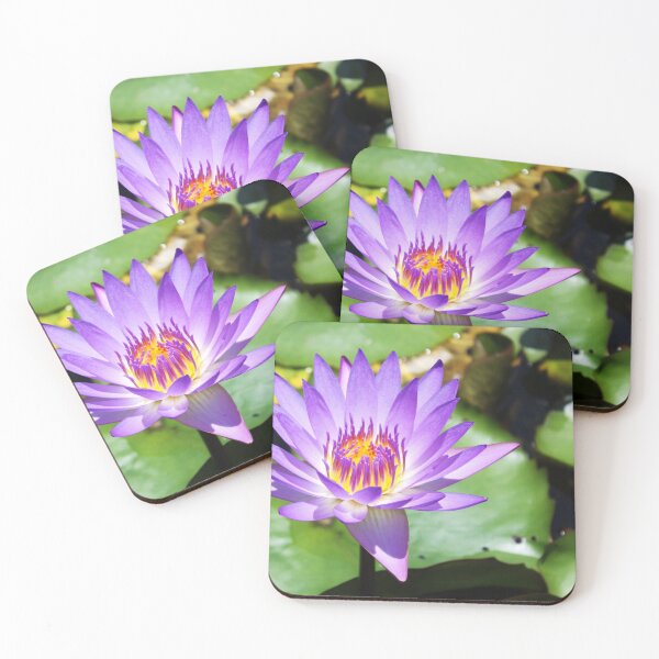 Item preview, Australian Daylily in the water designed and sold by NJH110.