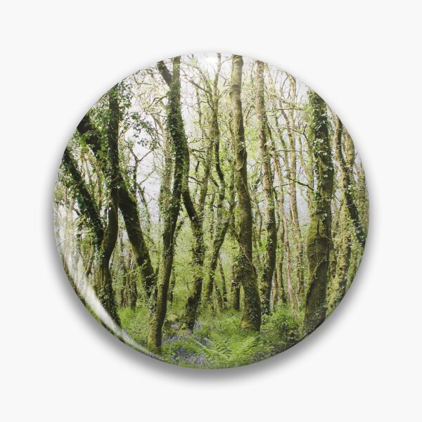 Item preview, Bluebells in forest, Golitha falls designed and sold by Designs12.