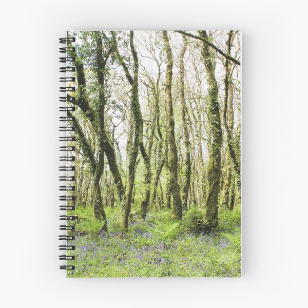 Item preview, Bluebells in forest, Golitha falls designed and sold by Designs12.