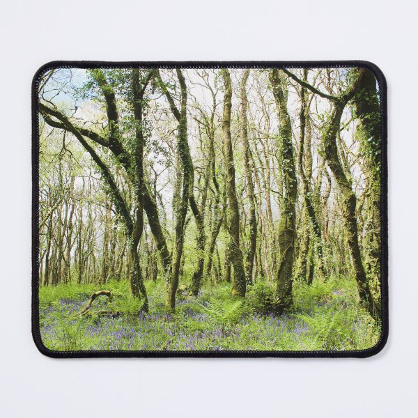 Item preview, Bluebells in forest, Golitha falls designed and sold by Designs12.