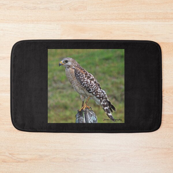 Item preview, Red Shouldered Hawk designed and sold by John  Cone.