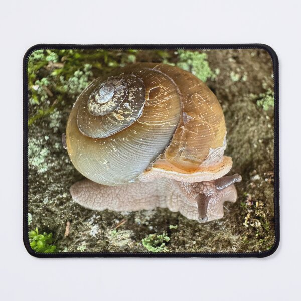 Item preview, Snail Pals designed and sold by MINDDesignsInc.