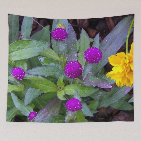 Item preview, Globe Amaranth designed and sold by gistinker.