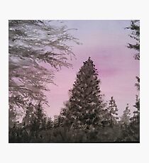 Pink Sunset Photographic Print
