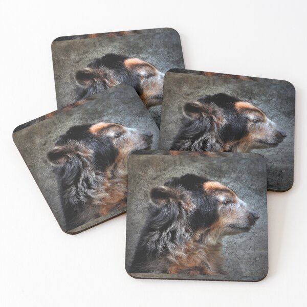 Item preview, Andean Bear designed and sold by Savannah Gibbs.