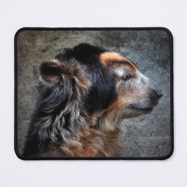 Item preview, Andean Bear designed and sold by Savannah Gibbs.