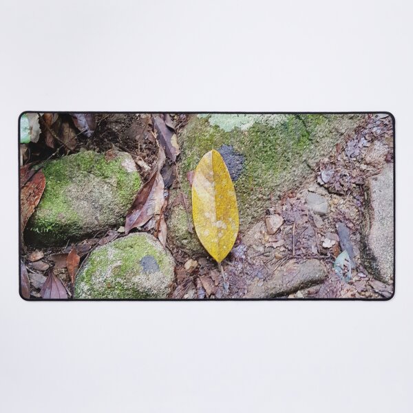 Item preview, Yellow Leaf On A Rock In Rainforest designed and sold by Designsbygroovy.