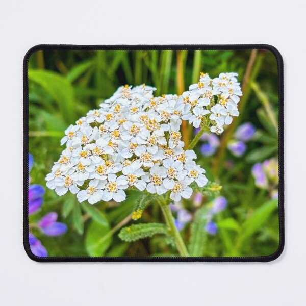Item preview, Nature’s Whisper: A Symphony of Wildflowers designed and sold by Jess Reynolds.