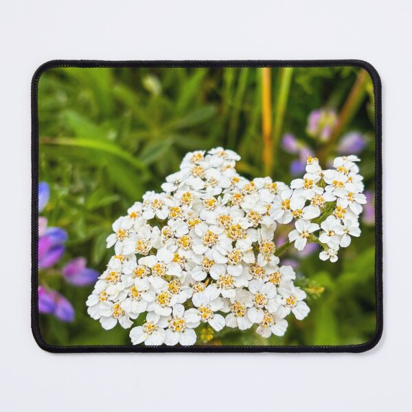 Item preview, Ephemeral Elegance: The Ballet of Blooms designed and sold by Jess Reynolds.