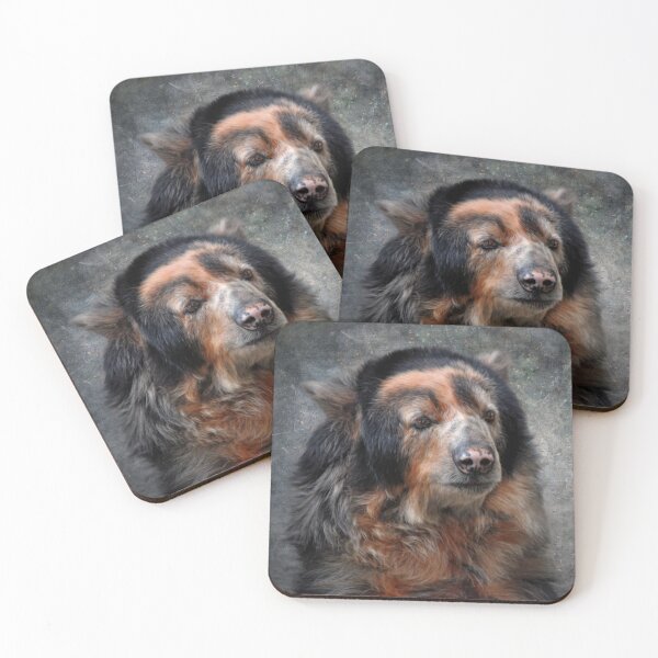 Item preview, Andean Bear designed and sold by Savannah Gibbs.