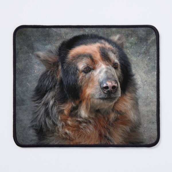 Item preview, Andean Bear designed and sold by Savannah Gibbs.