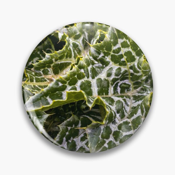Item preview, Milk Thistle designed and sold by Jess Reynolds.