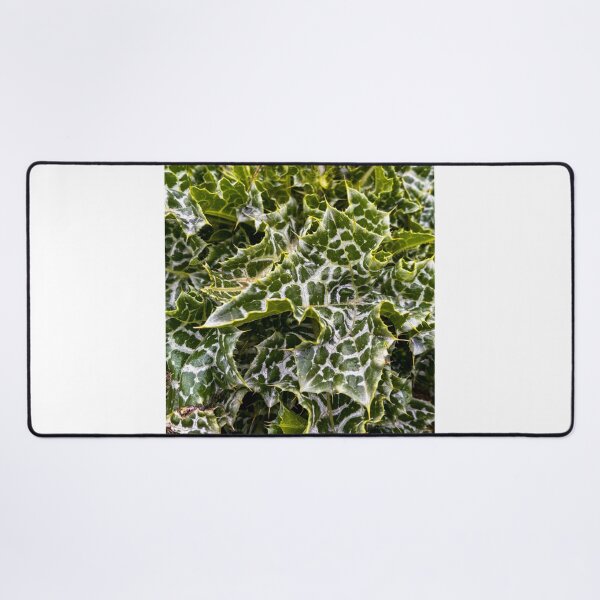Item preview, Milk Thistle designed and sold by Jess Reynolds.