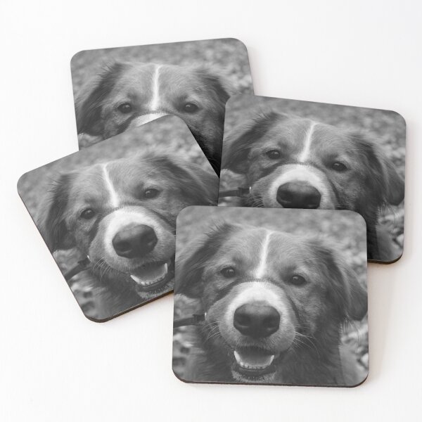 Artikelvorschau, Australian Shepherd Im Herbst Fotografie entworfen und verkauft von ThePhotograph03.