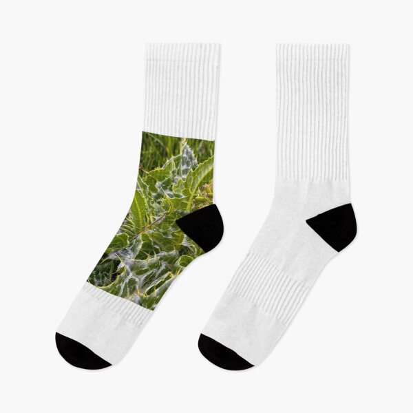 Item preview, Milk Thistle  designed and sold by Jess Reynolds.