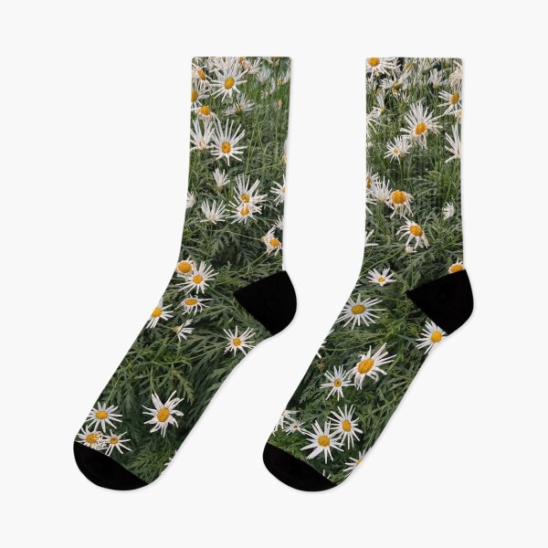 Item preview, Daisy Garden designed and sold by KvP423.