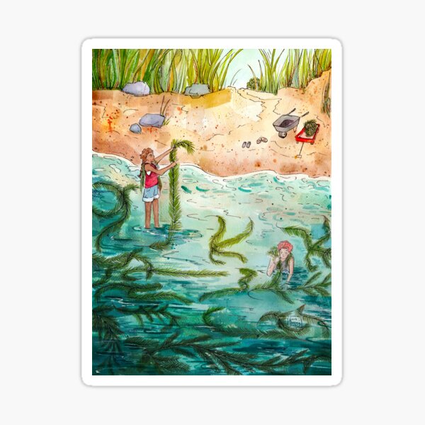 Item preview, Watermilfoil designed and sold by BeesBits.