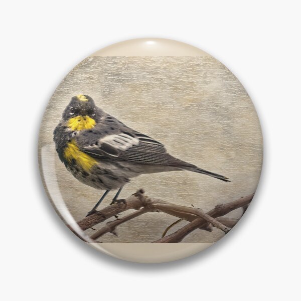 Item preview, Yellow-rumped Warbler designed and sold by CarolM.