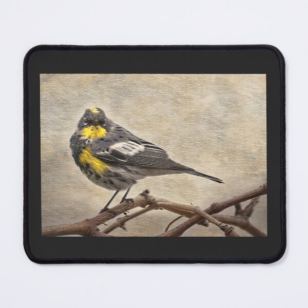 Item preview, Yellow-rumped Warbler designed and sold by CarolM.