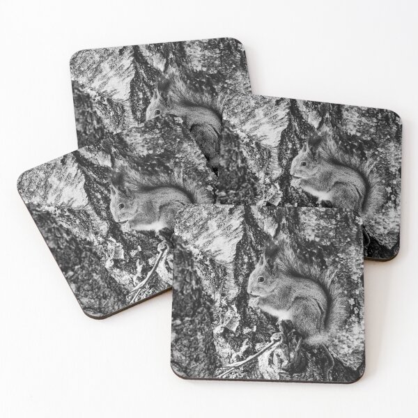 Item preview, Hiding the tears. Red squirrel bw designed and sold by Jouko Lehto Photography.