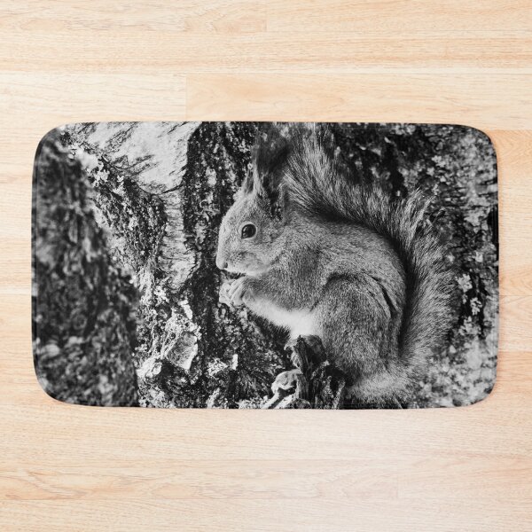 Item preview, Hiding the tears. Red squirrel bw designed and sold by Jouko Lehto Photography.