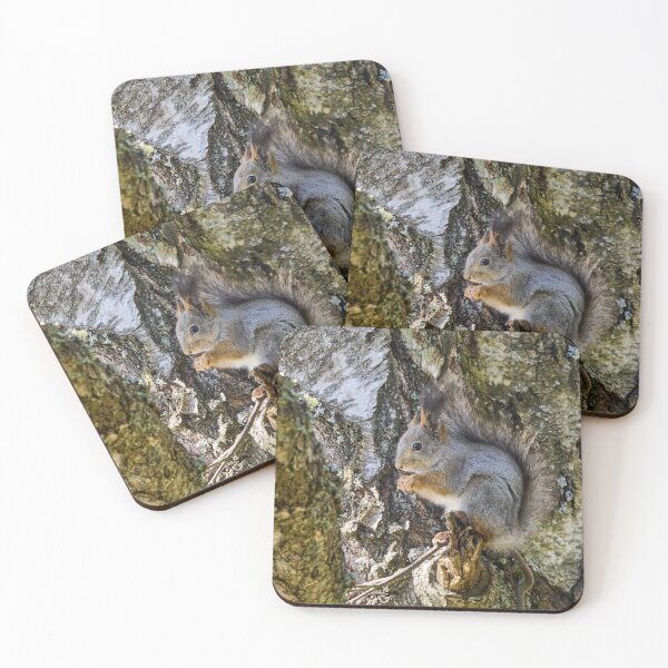 Item preview, Hiding the tears. Red squirrel designed and sold by Jouko Lehto Photography.
