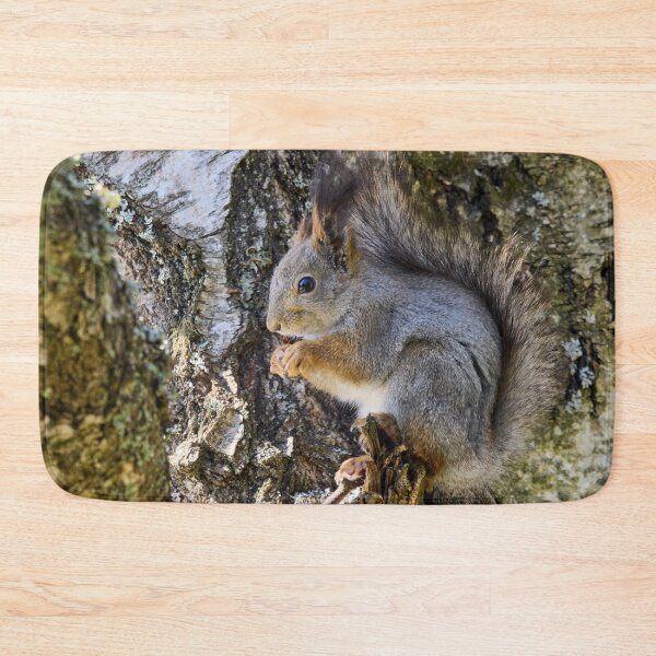 Item preview, Hiding the tears. Red squirrel designed and sold by Jouko Lehto Photography.